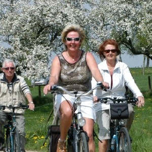 Senioren op de fiets in de natuur