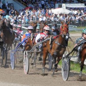 Paardenraces Duindigt