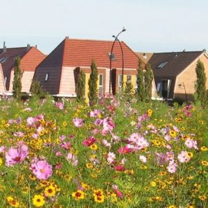 Doorstroomregelingen in amersfoort