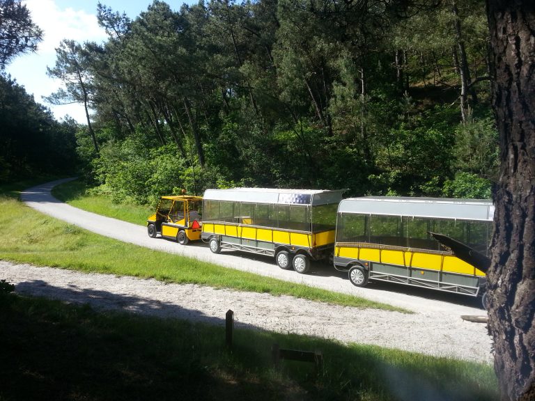 Dagtocht Leef3.nu Schoorl