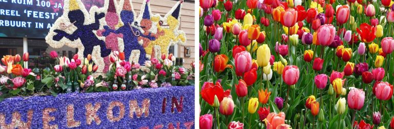 Bloemendagen en tulpenexcursie