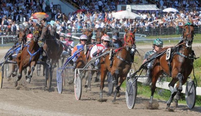 Paardenraces Duindigt