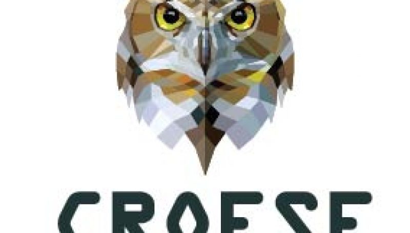 Logo-Croese-Thuisoptiek.jpg
