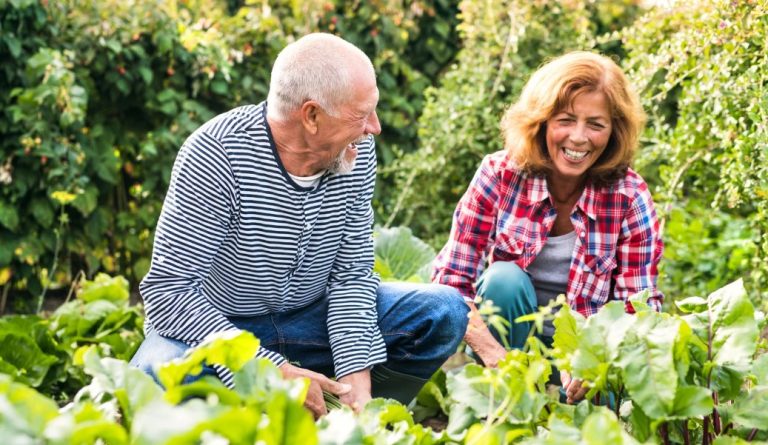 Moestuin web