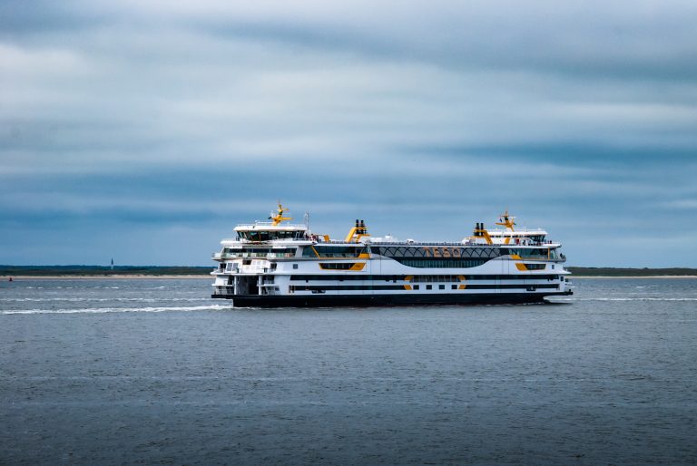 Lammetjestocht Texel Groengrijs