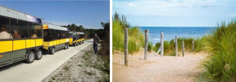 Zonnetrein